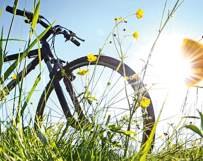 E-Biken rund um Graz Buchungsvorteil